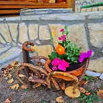 Planinska Kuca Ella Brvnara
