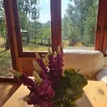 Brvnara Planinska Kuca Ella