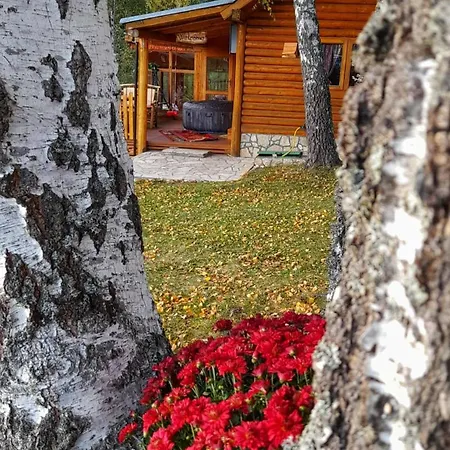 Planinska Kuca Ella Horská chata Jelik