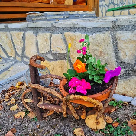 Planinska Kuca Ella Dağ evi