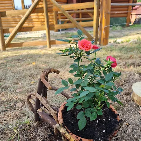 Planinska Kuca Ella Dağ evi